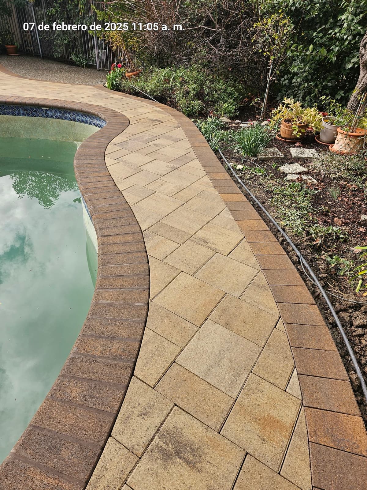 curved travertine pool deck with matching coping around a pool in Stockton, California